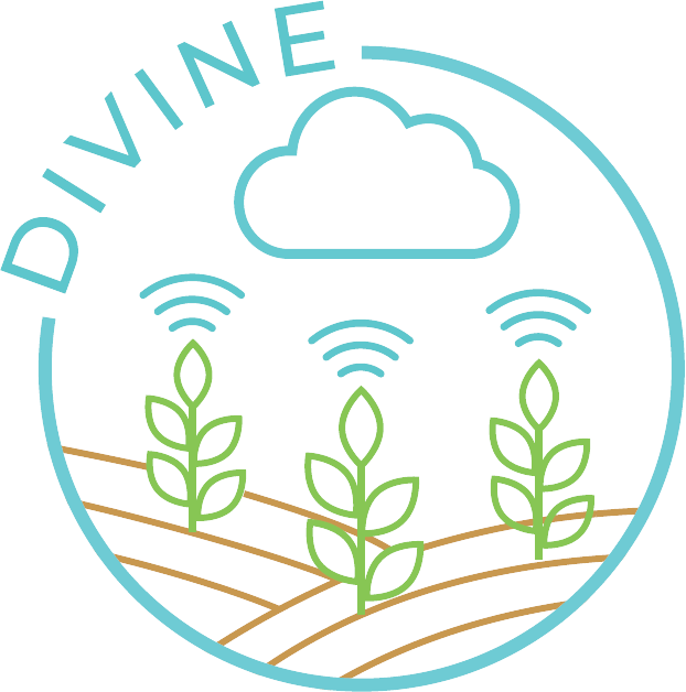 DIVINE Logo