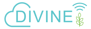 DIVINE Logo